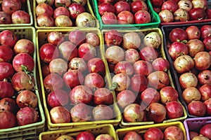 Pomegranates in Tunisia