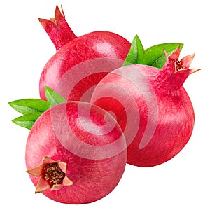 Pomegranete isolated on white bsckground