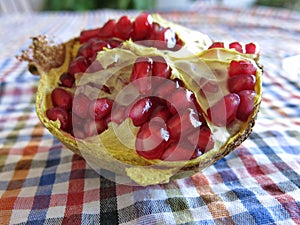 Pomegrante