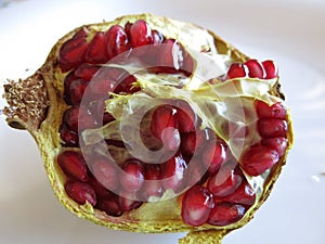 Pomegrante