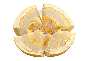 Pomelo citrus fruit