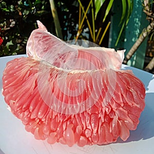 Pomelo fruit good for booster immunity photo