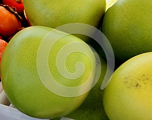 Pomelo, pummelo, Shaddok, Citrus maxima