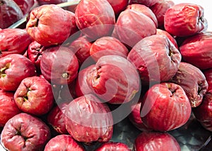 Pomerac, Malay Apple