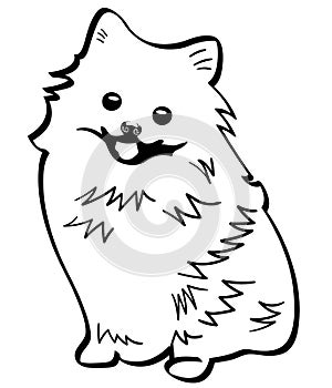 Pomeranian dog vector eps Hand drawn, Vector, Eps, Logo, Icon, silhouette Illustration by crafteroks for different uses. photo