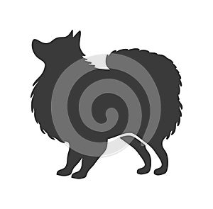 Pomeranian silhouette. Fluffy spitz home dog stencil, vector icon photo