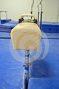 Pommel Horse end view photo