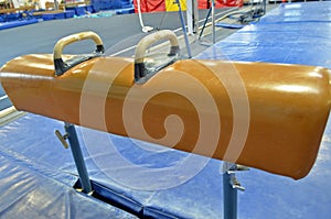 Pommel Horse side view photo