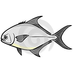 Pompano Fish photo