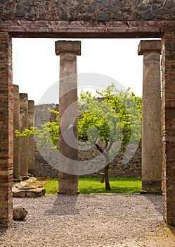 Pompei - Ancient Rome - House of Octavius Quatro