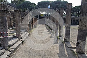 Pompeii Gladiators Square