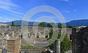 Pompeii, the House of cithara player