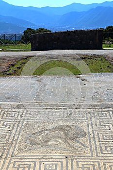 Pompeii, Italy: mosaic