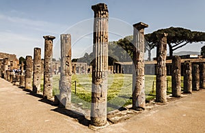 Pompeii Palestra photo