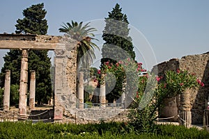 Pompeii ruins and gardens photo