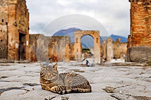 Pompeii ruins in Italy, ancient historical place, excavations, volcanic eruption