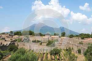 Pompeii and Vesuvius