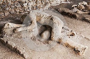 Pompeii victims