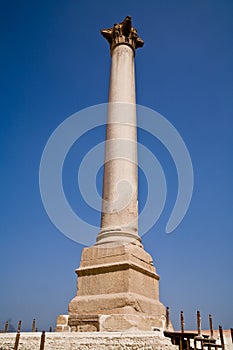 Pompey`s Pillar in Alexandria, Egypt