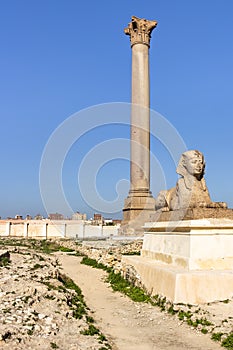 Pompey`s Pillar and sphinx stands beside the ruins of the temple of Serapis