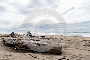 Pomponio State Beach in California