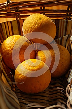 Poncire, fruit of the poncirus trifoliata