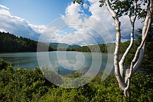 A pond in Acadia National Park, Maine