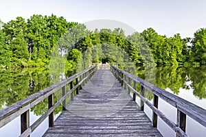 Pond in Alabama and wooden foot bridge