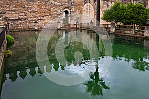 Pond in Alcazar of the Christian Monarchs in Cordoba. Spain