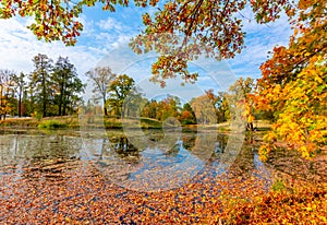 Pond in Alexander park in autumn, Pushkin Tsarskoe Selo, Saint Petersburg, Russia