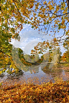 Pond in Alexander park in autumn, Pushkin Tsarskoe Selo, Saint Petersburg, Russia