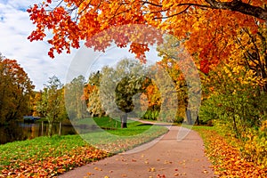 Pond in Alexander park in autumn, Pushkin Tsarskoe Selo, Saint Petersburg, Russia