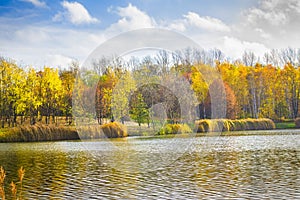 Pond in autumn park