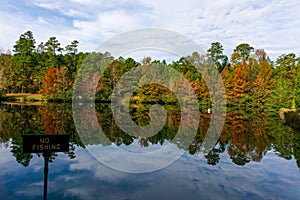A Pond in Autumn Reflects the Fall Color of the Leaves.