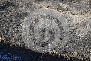 Pond Beach with burnt cane. Soot and ashes of burnt grass