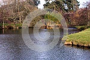 Pond at Benington Lordship Gardens.