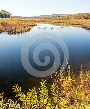 Pond in Berkshires Massachusetts in Autumn
