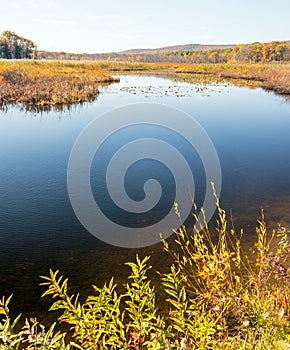 Pond in Berkshires Massachusetts in Autumn photo