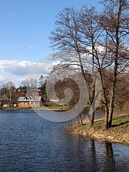 Pond in Bialowieza