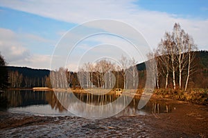 Pond with birch trees photo