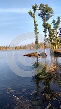 Pond of blue water in indore, narmada water , thin trees in pond