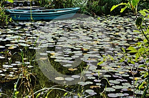 Pond with boat and water lilies