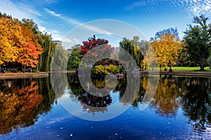 Pond in Boston Common Garden surrounded by colorful trees in fall season