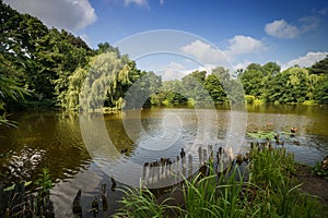 Pond in Botanical Garden, Kaliningrad, Russia