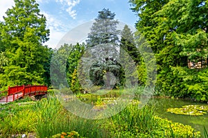 Pond at botanical garden in Zagreb, Croatia