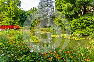 Pond at botanical garden in Zagreb, Croatia photo