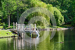 Pond in the Botanical Park of Palanga