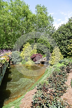 Pond by Bridge in Landscaped Garden