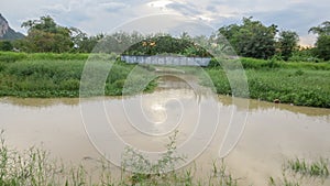 Pond with bridge in local country