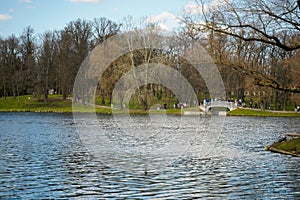 A pond with a bridge over which people pass. Ducks swim in the pond